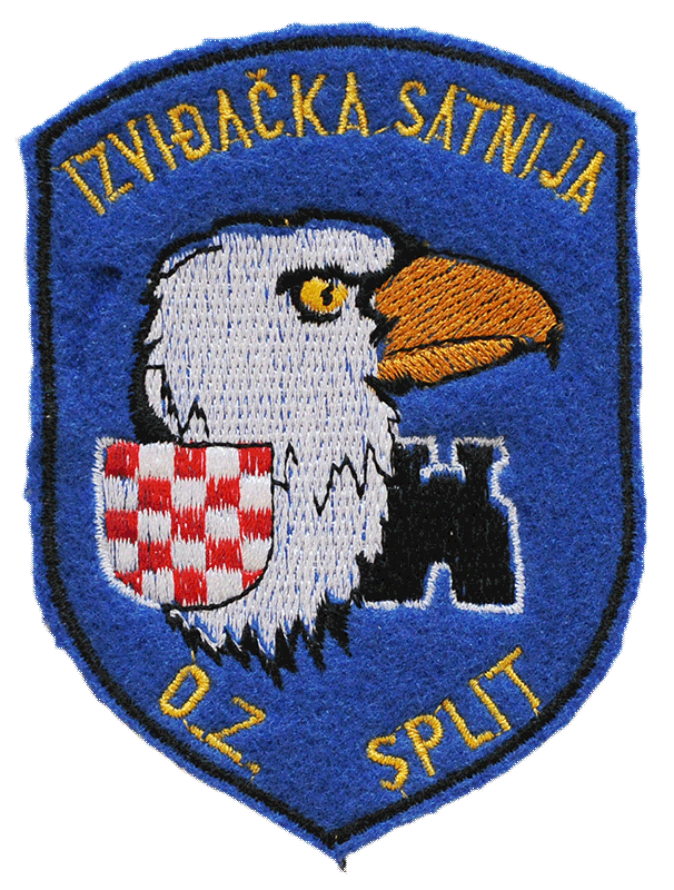 Vojna oznaka Izviđaćke satnije